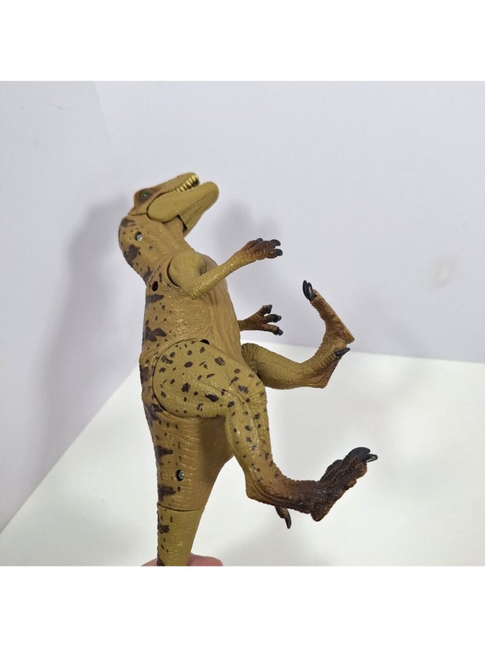 Happy Kin Allosaurus 7" Dinosaur Realistic Articulated Figure Excellent - Picture 15 of 16